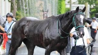 【注目馬動向】新馬戦を３馬身半差完勝のリサナウトは９月２７日中山のサフラン賞へ　祖母はエアグルーヴ
