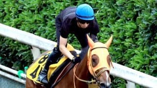 日曜中京競馬場の注目激走馬…中京７Ｒ中京記念・Ｇ３