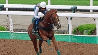 日曜札幌競馬場の注目激走馬…札幌１１Ｒ札幌記念・Ｇ２