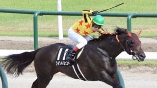 【新潟７Ｒ・ＮＳＴ賞】ワイワイレジェンドが今後に向けて実り多きＶ　田辺裕信騎手「ハツラツとしていた」