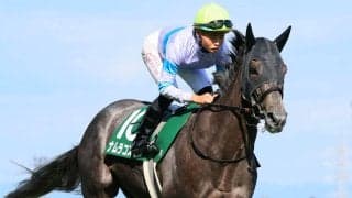 【中京記念】まさかの１５着惨敗は３番人気のナムラコスモス　田口貫太騎手「十分勝ち負けになるなと...」