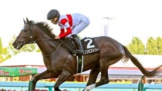 【阿寒湖特別】「僕はつかまっているだけ」単勝１・２倍のダノンヒストリーが衝撃の８馬身差Ｖ　佐々木大輔騎手もビックリ