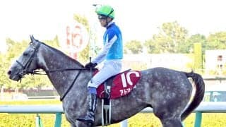 【札幌記念】まさかの９着大敗に友道調教師「予定通り凱旋門賞だと思います」　アドマイヤテラの敗因に言及