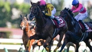 【JRA・WIN5】本日のWIN5は的中35票、配当1354万5140円