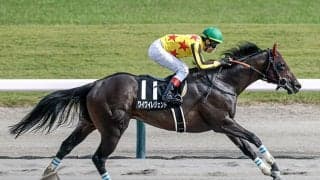 【NST賞結果】6番人気ワイワイレジェンドが抜け出しオープン初勝利