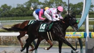 【東海S】マテンロウコマンドが鮮やか抜け出し重賞3勝目