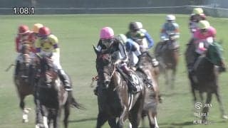 「兵長が覚醒！」“進撃のリヴァイ”昇級戦で5馬身差独走V…「強すぎてびっくり」ファン沸騰