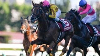 【札幌記念結果】シェイクユアハートが突き抜け完勝！ コースレコードを18年ぶりに更新