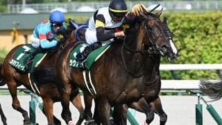 【中京記念結果】ラヴァンダが差し切りレコードV 重賞2勝目