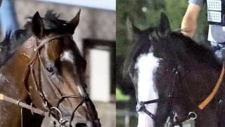 【ジャックルマロワ賞】日本馬２頭はともに惨敗！武豊騎手のシックスペンスは１０着、シュトラウスは９着に沈む