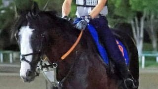 【ジャックルマロワ賞】「全く反応がなかった」モレイラ騎手が完敗認める　斤量６０キロのシュトラウスは９着に沈む