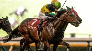 【キーンランドC見どころ】実績は他馬を上回るパンジャタワー
