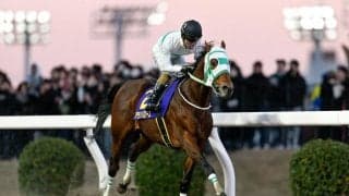 【川崎・スパーキングサマーC枠順】真夏のマイル重賞 重賞5勝のアランバローズは8枠11番