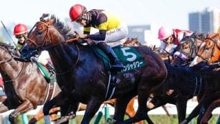 【キーンランドC想定騎手】パンジャタワーは松山弘平騎手、ウインカーネリアンは三浦皇成騎手