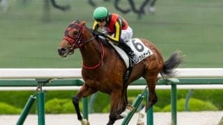 【新潟2歳S登録馬】エフフォーリア産駒インカルナータなど10頭