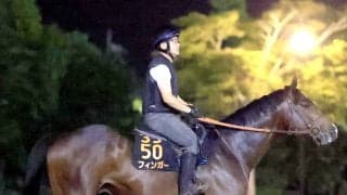 ダート２冠馬フィンガーは３番ゲートに決定　主催者想定オッズは４番人気タイ　２３日朝に米Ｇ１・パシフィッククラシックＳ