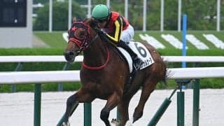 【新潟2歳S想定騎手】インカルナータは坂井瑠星騎手、レッチュベルクは田辺裕信騎手