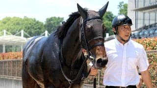 【長岡Ｓ・三戸の特注馬】辻厩舎へ転厩初戦のジャサルディア　得意のマイル戦に戻ってオープン入りを決める