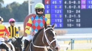 【先週のJRA抹消馬】阪急杯2年連続2着のアサカラキング、平地障害の双方で活躍したオールザワールドなど