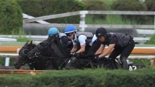 マンナットが仕切り直しの初陣 斉藤崇師「追い切るたびに動きが良くなっている」/関西馬メイクデビュー情報