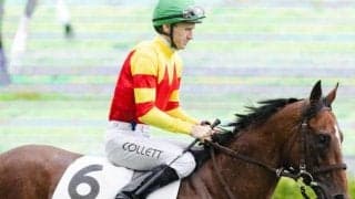 【新潟2歳S】今年開業の秋本大介調教師 トウシンマジックで重賞初挑戦初制覇なるか