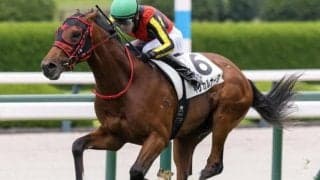 【新潟2歳S】エフフォーリア産駒が重賞初制覇なるか インカルナータが無敗戴冠狙う