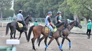 伯父には宝塚記念馬 日曜新潟芝1600mで初陣のダノンシルヴァ/関東馬メイクデビュー情報