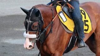 【キーンランドＣ】Ｇ１で活躍したクレアに続く姉妹Ｖへ　ナムラクララの前走は収穫大「今までと違う形で…」