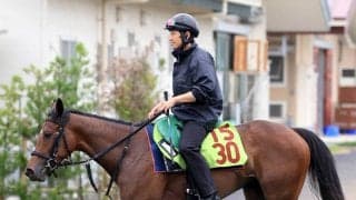 【新潟２歳Ｓ】シャンデヴァーグ２連勝で重賞Ｖへ　津村明秀騎手「落ち着きがあって雰囲気はいい方に来ている」