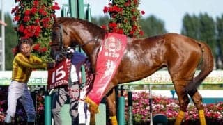 札幌記念を制したシェイクユアハート 古馬になって本領を発揮するハーツクライ産駒