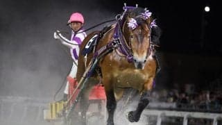 【ばんえいグランプリ】10歳王者メムロボブサップが貫禄V…阿部武臣「負けられない！と思い必死に追った」