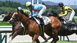 【新潟2歳S展望】関西馬トップチェッカーが重賞制覇を狙う