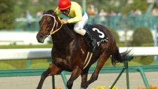 最低人気馬がまさかの大金星 08年キーンランドCをプレイバック