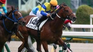 【キーンランドC】ロジユニヴァース産駒がJRA重賞初制覇なるか 3連勝中のロジケープが参戦だ