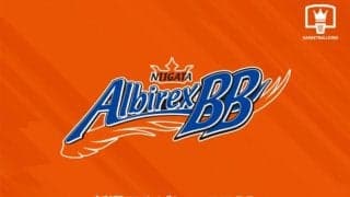 新潟アルビレックスBBにアクシデント…新戦力のバーレルが右膝外側半月板断裂、インジュアリーリストへ