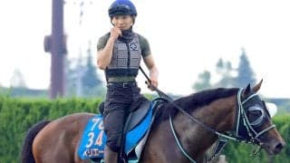 【注目馬動向】エルムＳで２着のペリエールは南部杯を目標に　Ｊｐｎ１初制覇を目指す