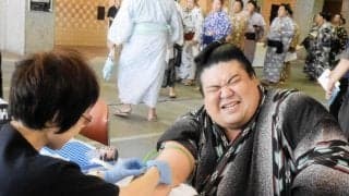 大相撲力士「痛くてツラい」嘉陽が健診採血に苦悶の表情、横綱のしこ名継ぐ旭富士は看護師に逆質問