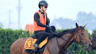 【注目馬動向】稲妻Ｓで４馬身差圧勝のカウスリップはルミエールＡＤへ　新潟の千直巧者が連勝を狙う