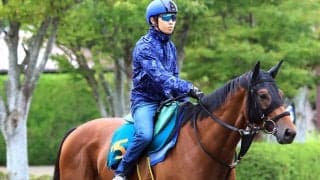 【新潟２歳Ｓ】重賞初タイトルを狙うレッチュベルクは真価問われる一戦　陣営が分析「程よく気持ちが入って順調」