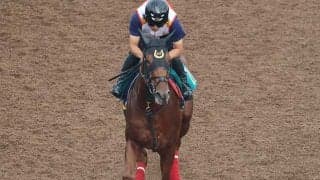レイデアルマスなど、先週の入厩情報/栗東トレセンニュース