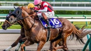 【キーンランドC】レース史上初のGI馬ワンツーなるか ウインカーネリアン＆パンジャタワーが参戦