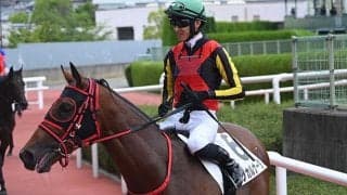 【新潟2歳S予想オッズ】インカルナータが予想1番人気