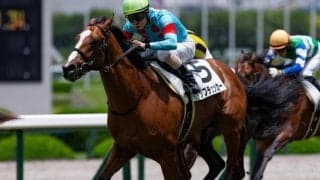 【新潟2歳S】いとこに名牝2頭 トップチェッカーが無敗戴冠なるか
