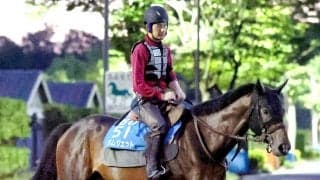 【注目馬動向】帝王賞５着のラムジェットはシリウスＳへ　同９着のカゼノランナーは日本テレビ盃へ