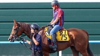 【キーンランドＣ】武豊騎手と久々のコンビ　サウンドモリアーナが順調な仕上がり　陣営「力のいる馬場の方が合う」