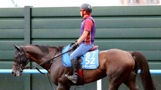 【キーンランドＣ】７歳エーティーマクフィが函館スプリントＳ２着のリベンジへ　陣営「いい感じに仕上がっています」