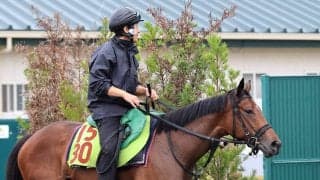 【新潟２歳Ｓ】新馬戦完勝のシャンデヴァーグ　陣営「スピードがあります」連勝で大舞台へ弾みをつけるか