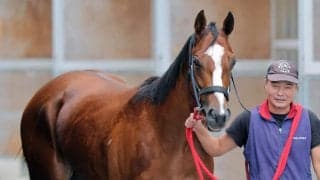 【新潟２歳Ｓ】トップチェッカーは白星発進を決めてさらに上昇　陣営「体の使い方も上手になりましたね」
