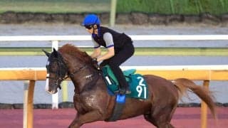【今週のトク注新馬】「長く脚を使うタイプ」池江厩舎の大物候補キトゥンズクラフト順調　