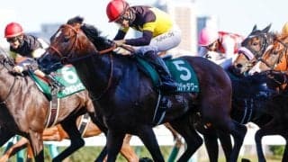 【キーンランドC展望】GI馬パンジャタワーが連覇へ